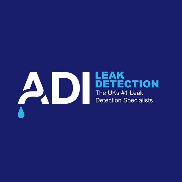 File:ADI Leak Detection.jpg